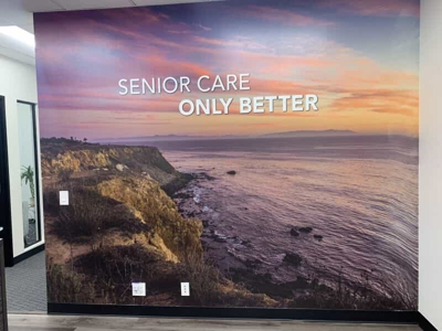 Window & Wall Graphics Photo